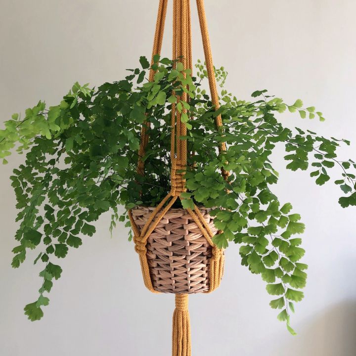 Plant Hangers